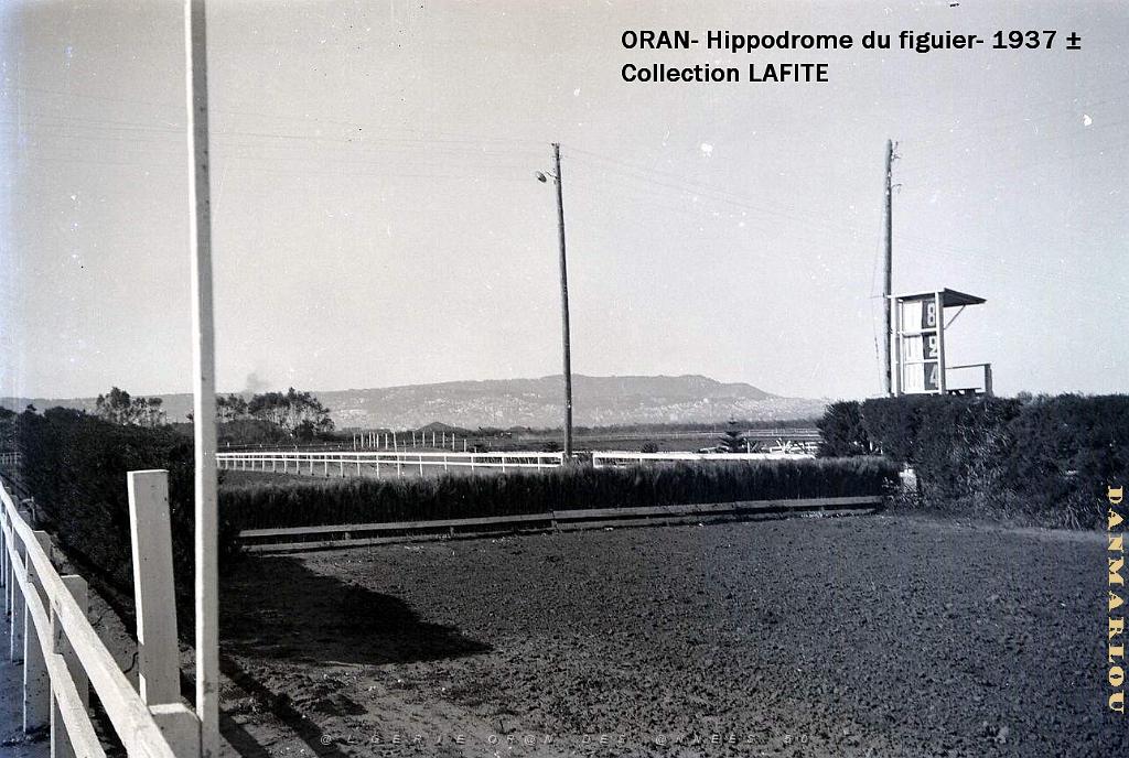 ORAN 1937 HYPPODROME DU FIGIER    (24).jpg